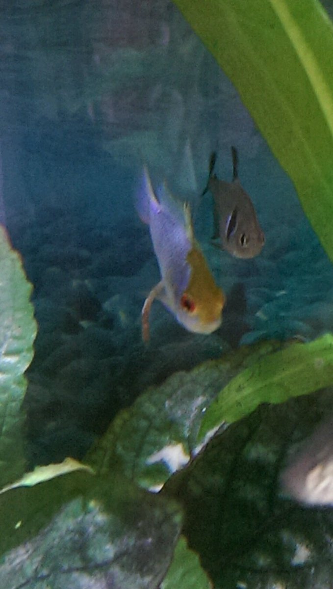 SuffolkFish's tweet photo. Just having a morning poo. It's going to be a good day. @George_Baldock #fishrule https://t.co/URaBt5oWQF
