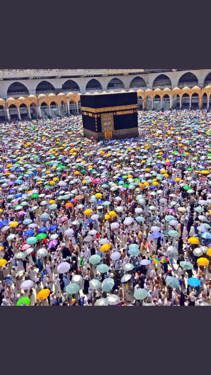 View image on Twitter View image on Twitter