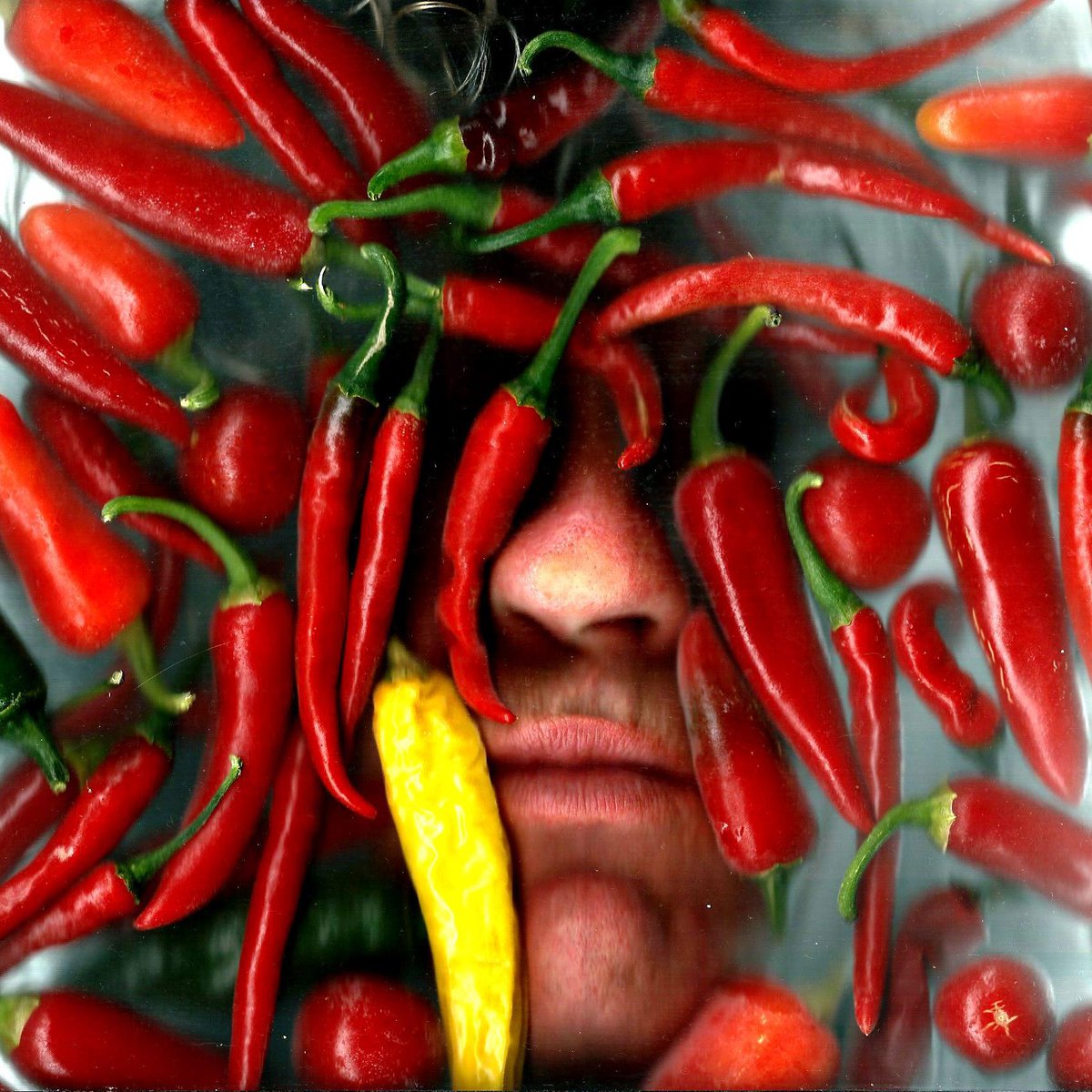 Scanfies's tweet image. 