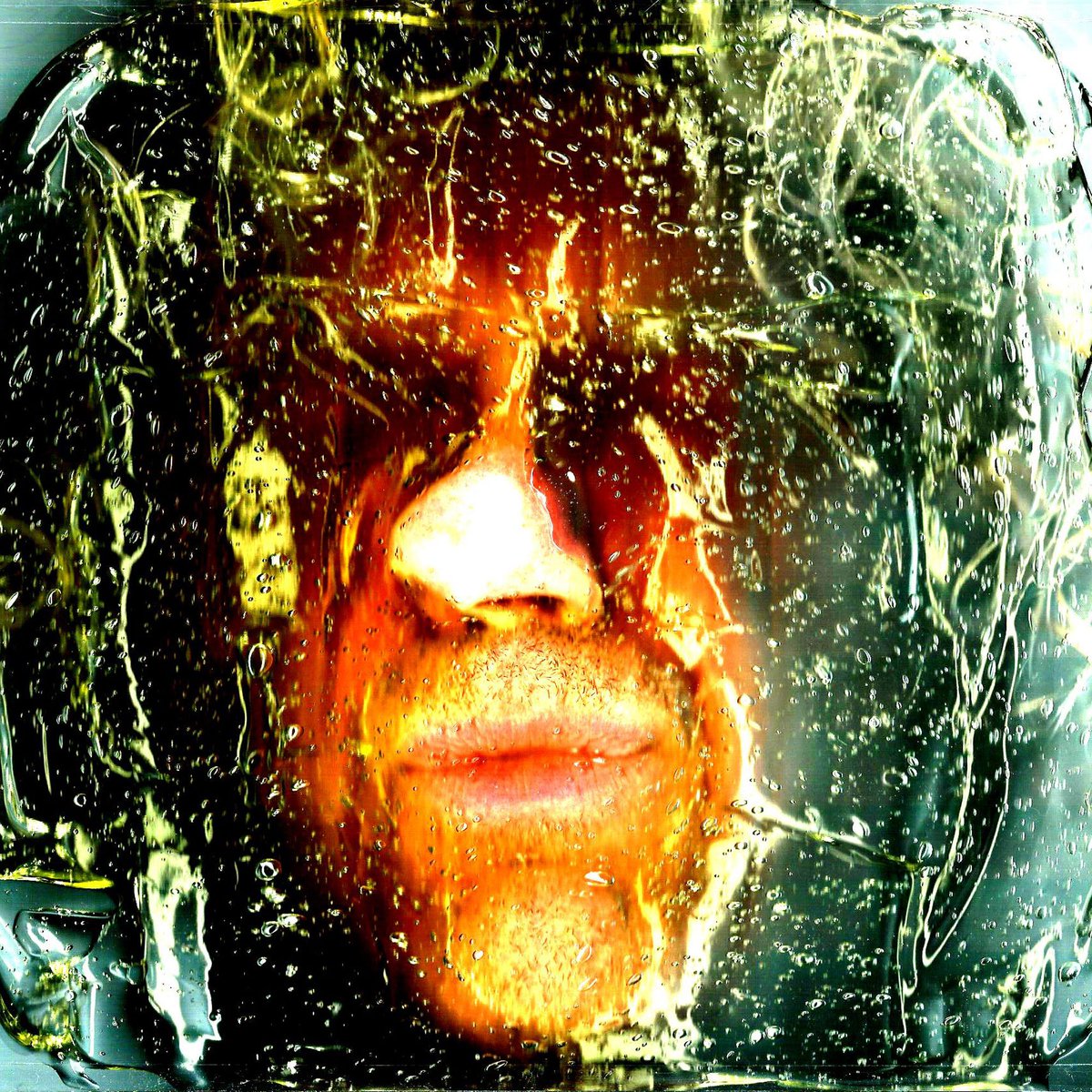 Scanfies's tweet image. 