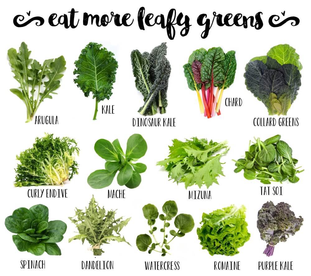 BodyMetRx's tweet photo. Eating more greens at night helps burn fat while you sleep. #greens #fatburningtips #weightloss #getlean https://t.co/AkNY6MnSfe