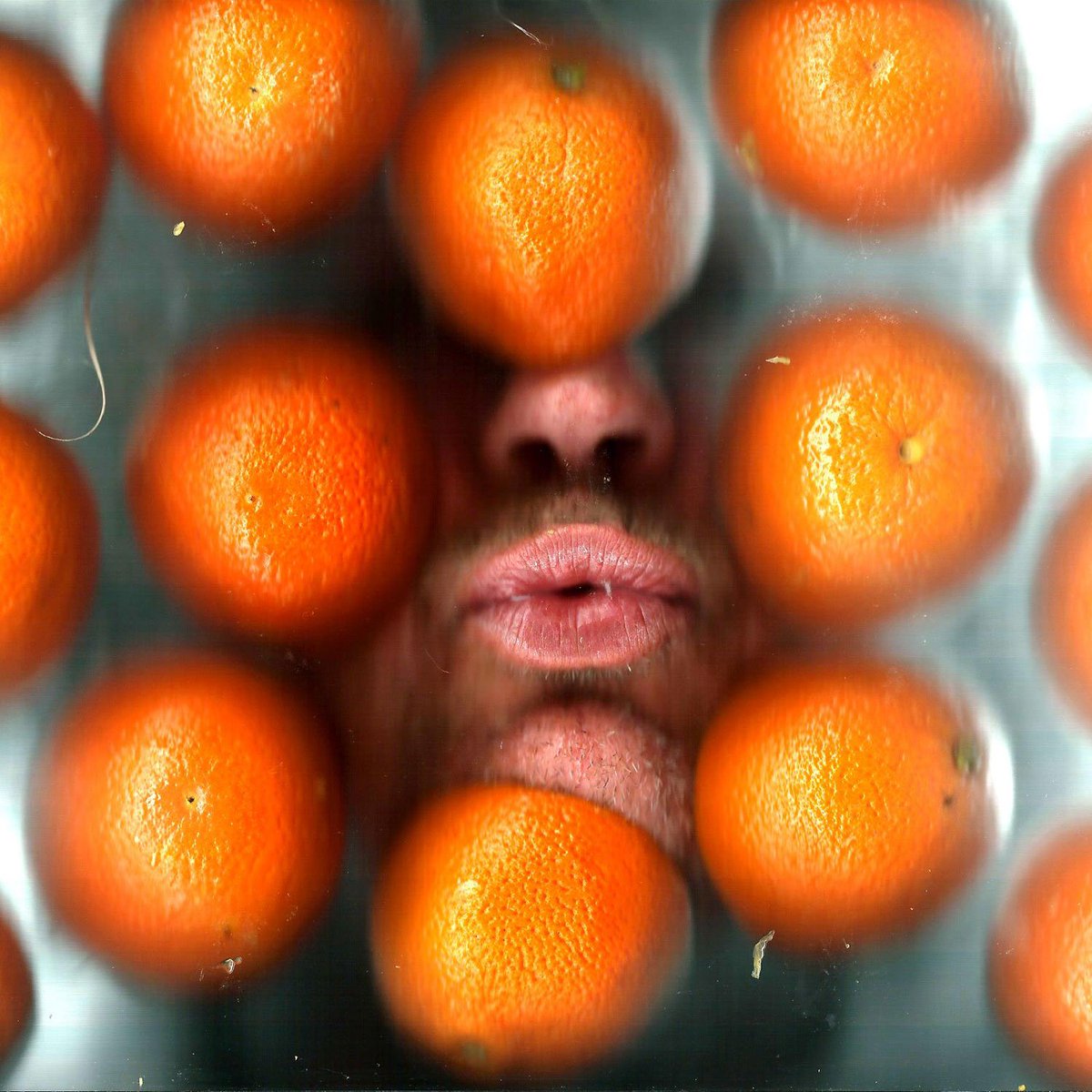 Scanfies's tweet image. 