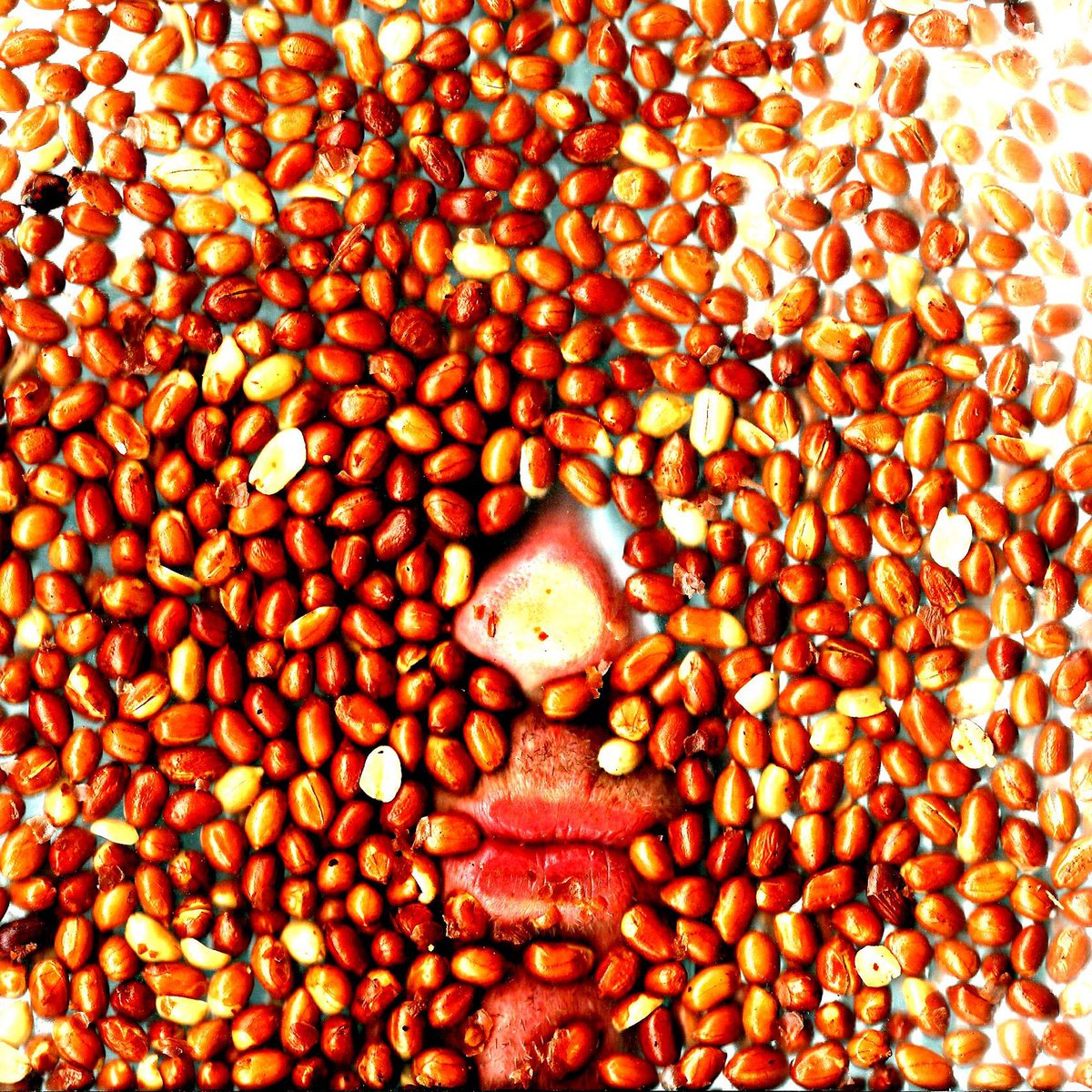 Scanfies's tweet image. 