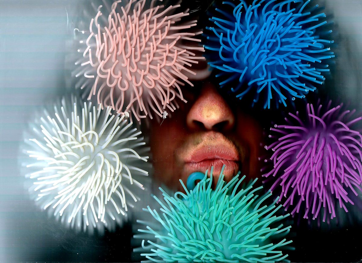 Scanfies's tweet image. 