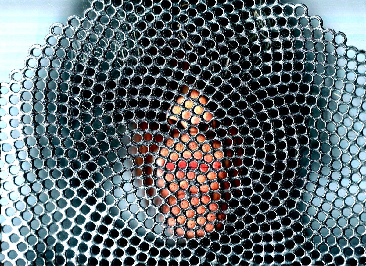 Scanfies's tweet image. 