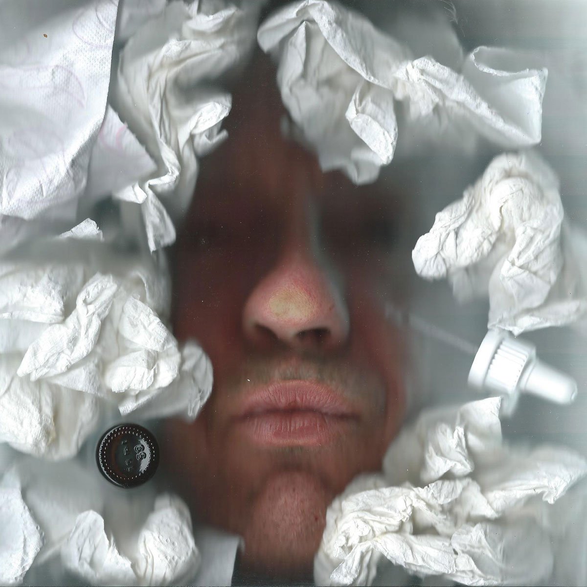 Scanfies's tweet image. 