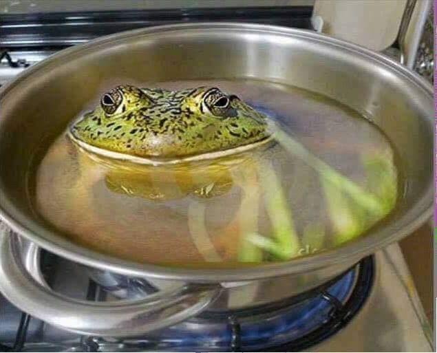 Arrêtez de supporter trop de #Pression. Lisez ce poste que je viens de publier: tinyurl.com/ybshuqn8 #Pression_Travail #Travail