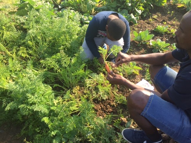 Green Corridors tweet media