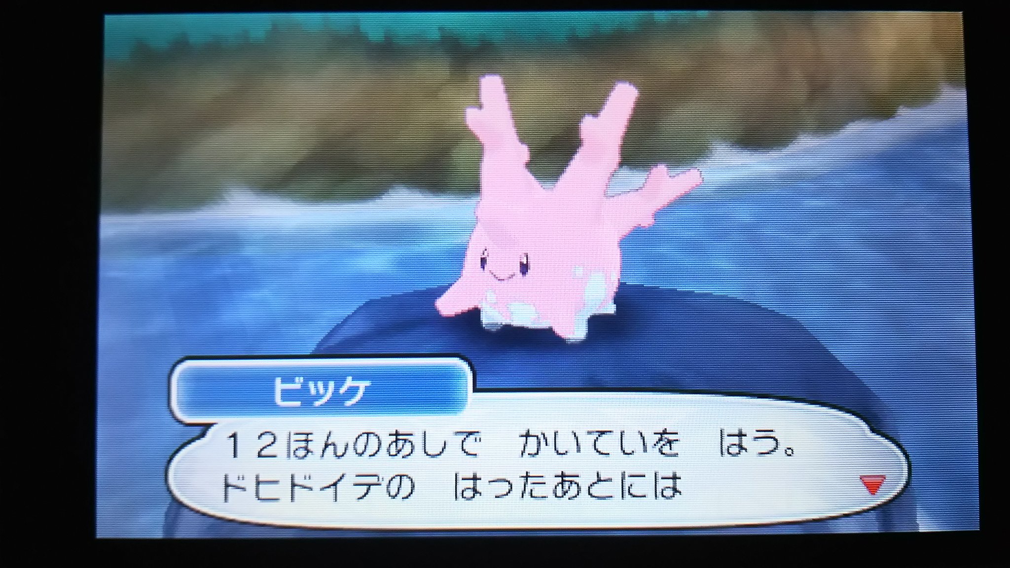 センジ ドヒドイデ １２ほんのあしで かいていを はう ドヒドイデの はったあとには サニーゴのカスが ちらばっている エーテルパラダイス ビッケのポケモンずかんより ポケットモンスターサンムーン ボイスチェッカー T Co Lwni5hhi1m