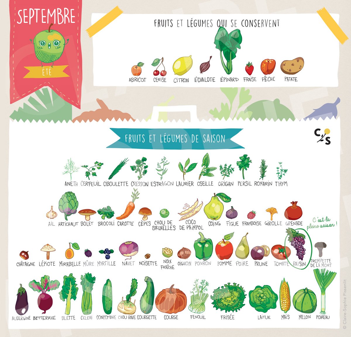 GreenVaders's tweet photo. 1, 2, 3 #septembre est là! Pour ne pas hésiter au marché voici le calendrier de #saison pour bien #manger by @CSPissenlit <3 #bonappetit https://t.co/EjowDCE2zX