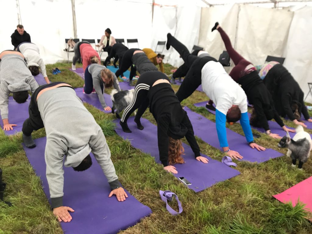 altypeacefest's tweet photo. First session in full swing, come along and join us #goatyoga #Altrincham #HaleBarns https://t.co/I1rxIUN8aq