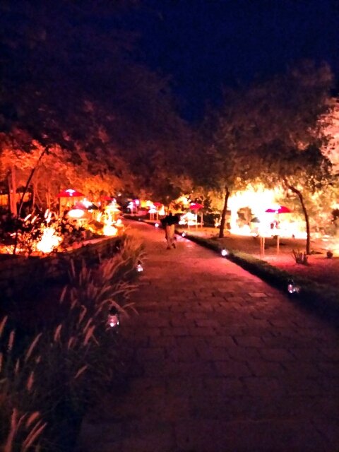 IHHA2017's tweet photo. Lakeside Dinner at #Suryagarh #Jaisalmer on  2 September
#ihha #ihhaconvention https://t.co/Ek1kko4b4A