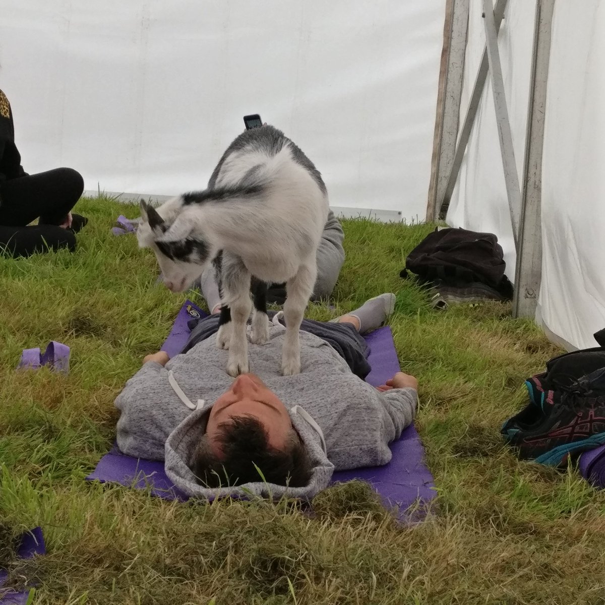 altypeacefest's tweet photo. #goatyoga #Altrincham #HaleBarns #thismorning https://t.co/UNQAqIq7Xa