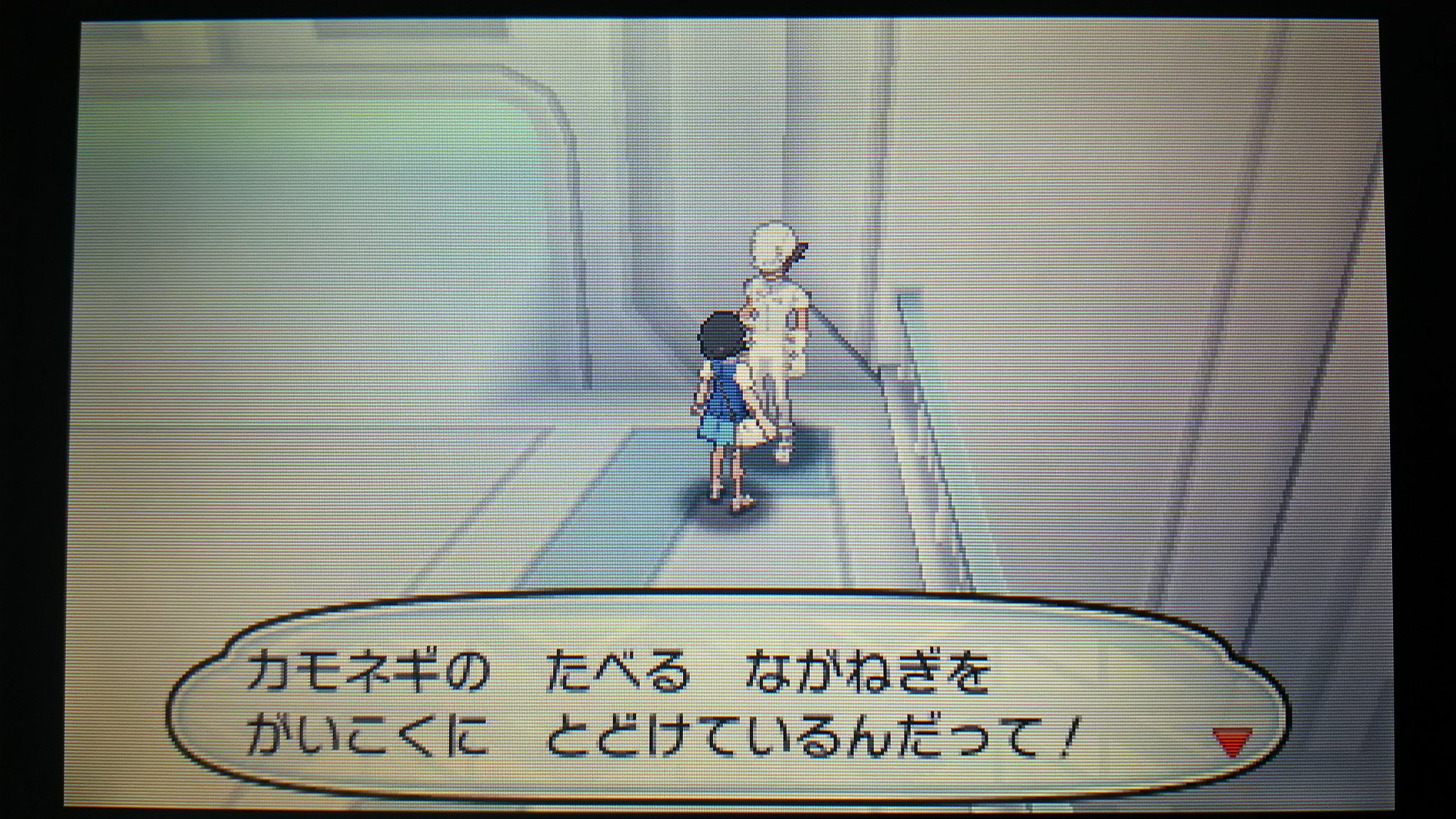 تويتر センジ على تويتر カモネギの たべる ながねぎを がいこくに とどけているんだって きみにも いっぽん わけてあげる エーテルパラダイス エーテルざいだん しょくいん ポケットモンスターサンムーン ボイスチェッカー T Co Sawcqqkmpc