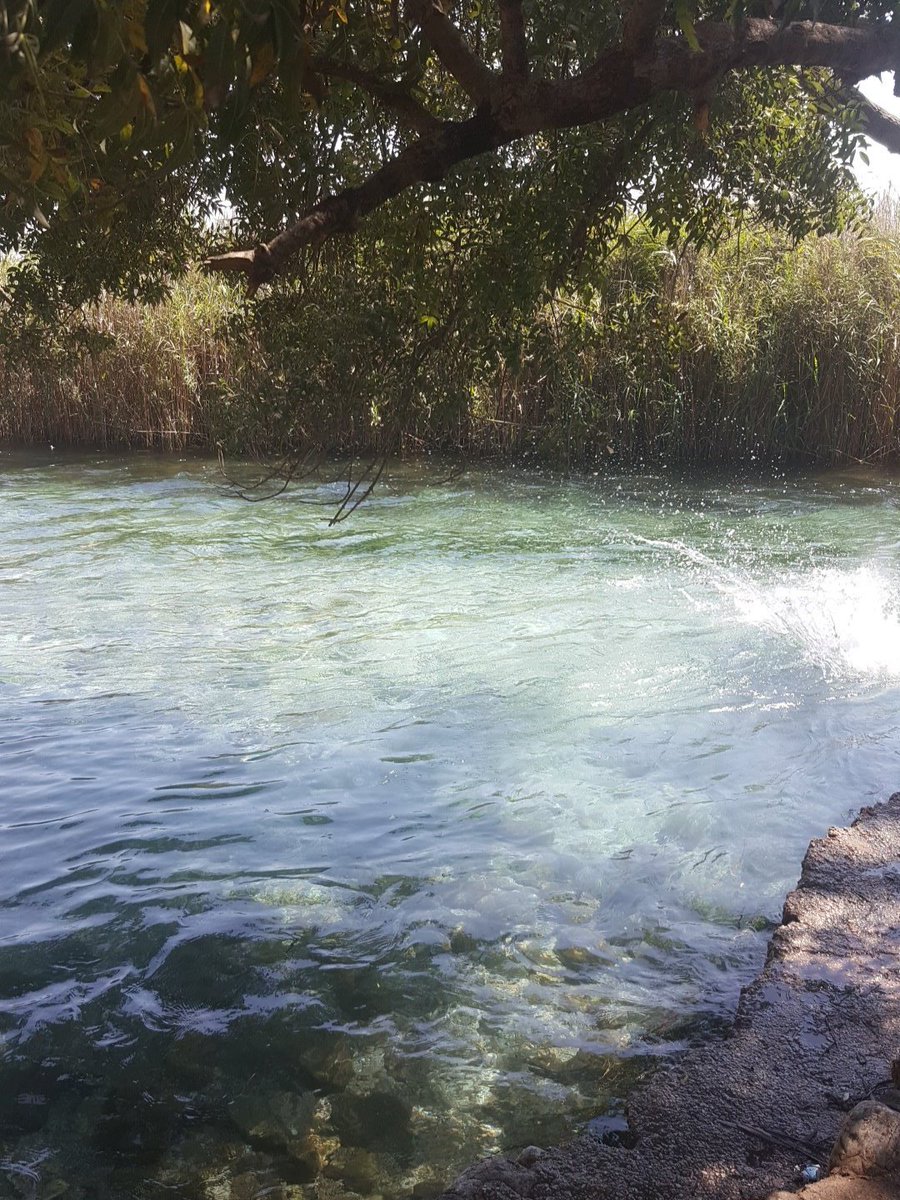 can senben (@sahaneciftswing) on Twitter photo 