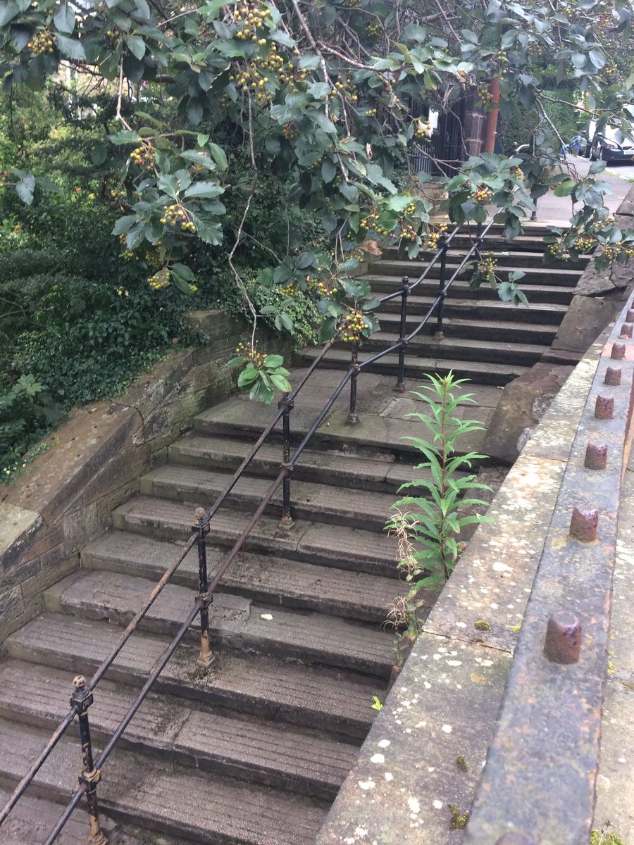 SixtySteps's tweet photo. Thanks to all who came and helped at yesterday's #sixtysteps clean-up. You've made a real difference. https://t.co/JhLd0rrTxi
