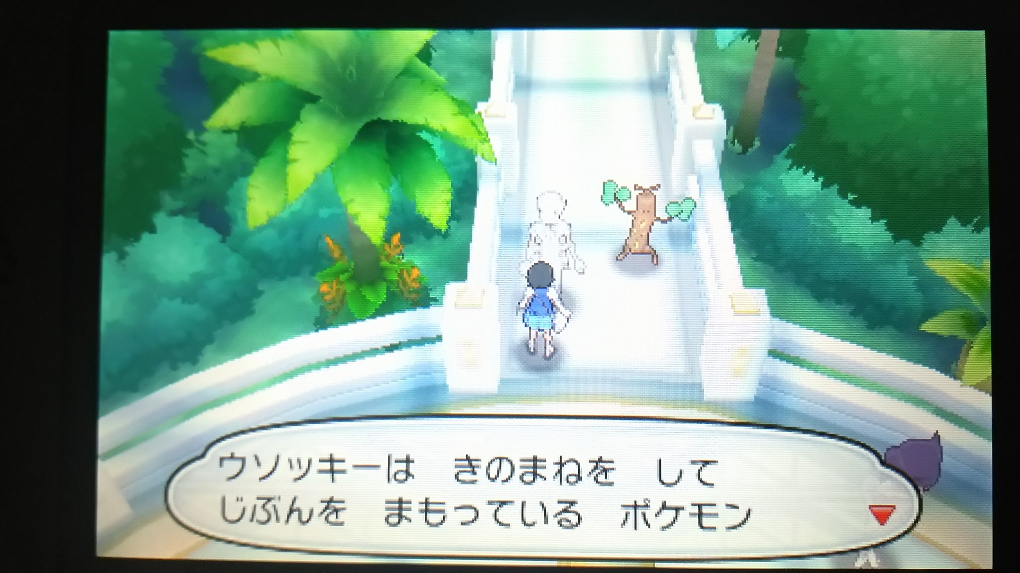 センジ En Twitter ウルトラサンムーンでウソッキー アローラのすがた くるかなー ポケットモンスターサンムーン T Co U8drvcjti0 Twitter