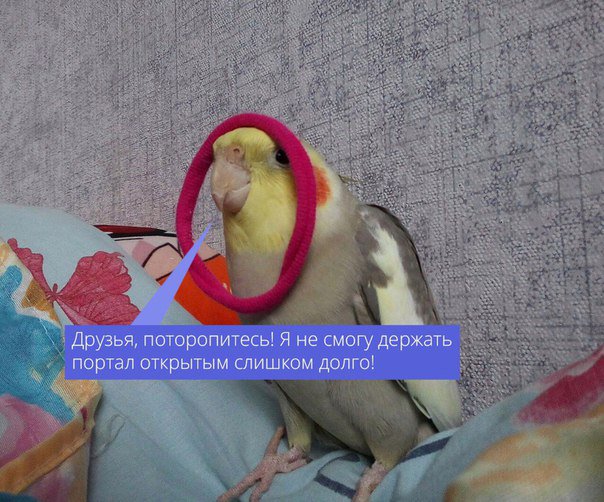 DIysm_ZXgAAy8zQ.jpg