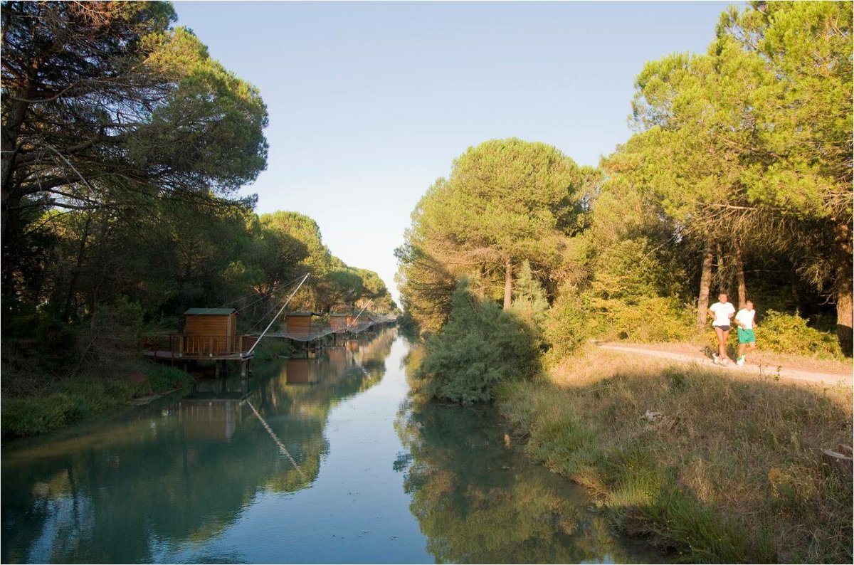 Visit Cervia tweet media