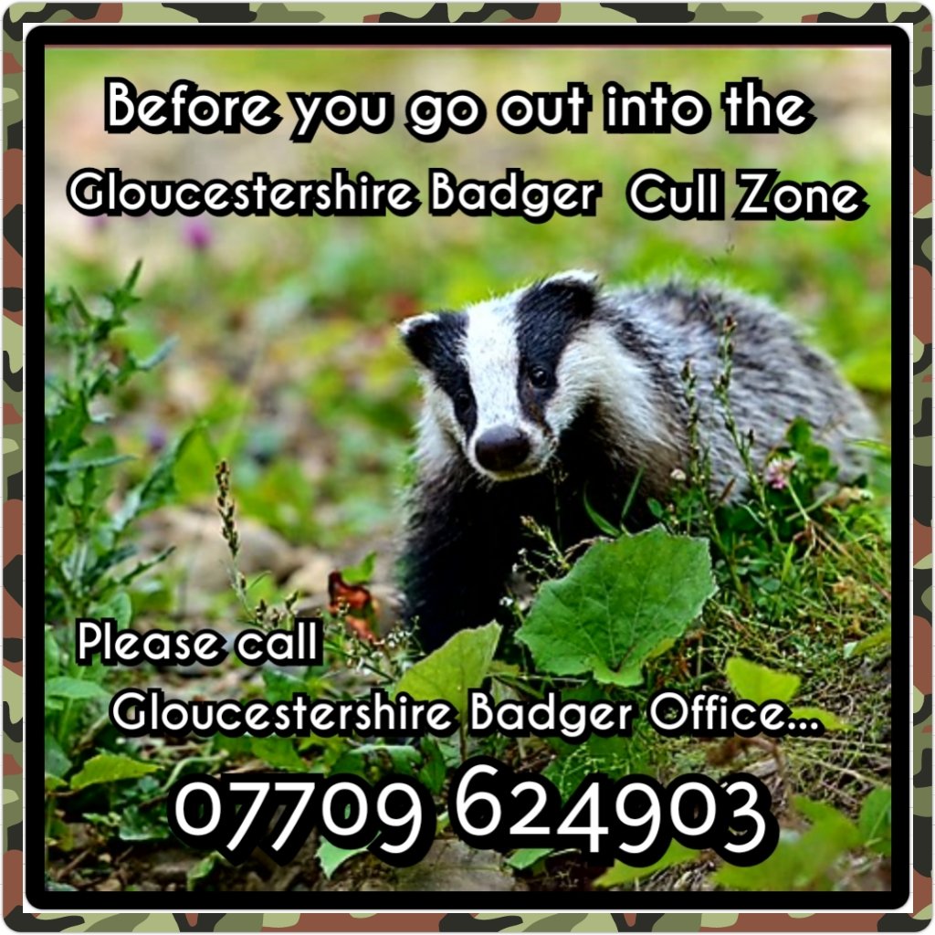 Please call for Logistical info, Camp info &amp; Emergency contact numbers should you need support #StopTheCull #GlosBadgerOffice #BadgerCull
