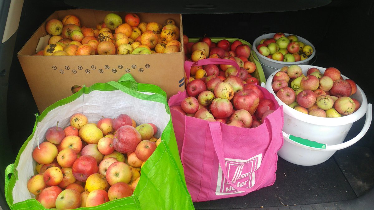 blamefinger's tweet image. Out scrumping this morning. #nicehaul