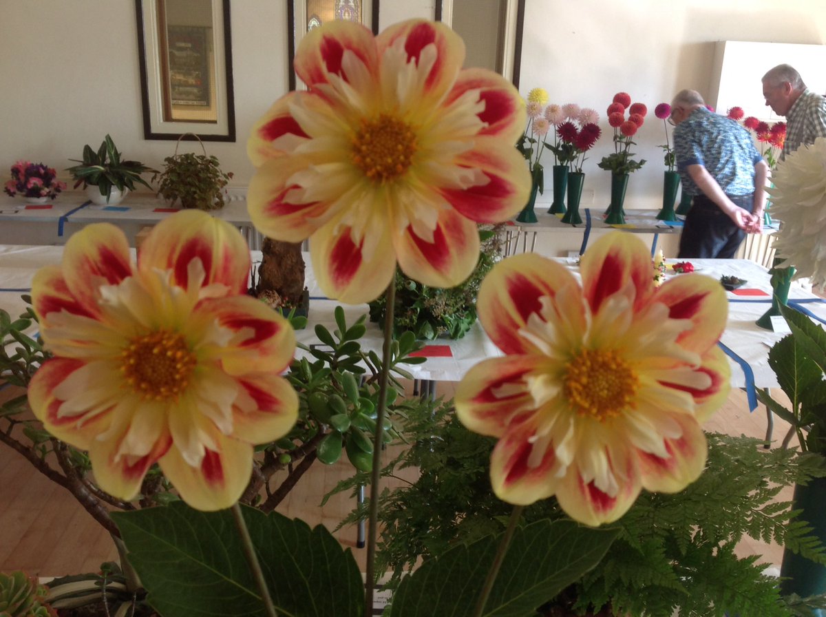 Jack Gott tweet media