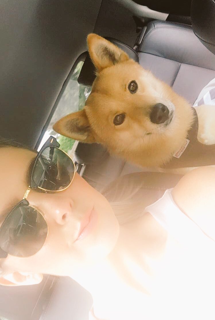 Roadtrip with #timbabear &amp; @Darransull86 👫🐕