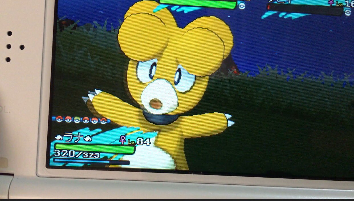 ぽめろん 色ブビィのリベンジ成功した 手持ちのポケモン もらいび にしたつもりが もうかと間違えてん 結局ほのおのうず対策できなかったけど 前回よりかは早めに光ってくれて良かった ビビリ玉連鎖 色違いポケモン T Co