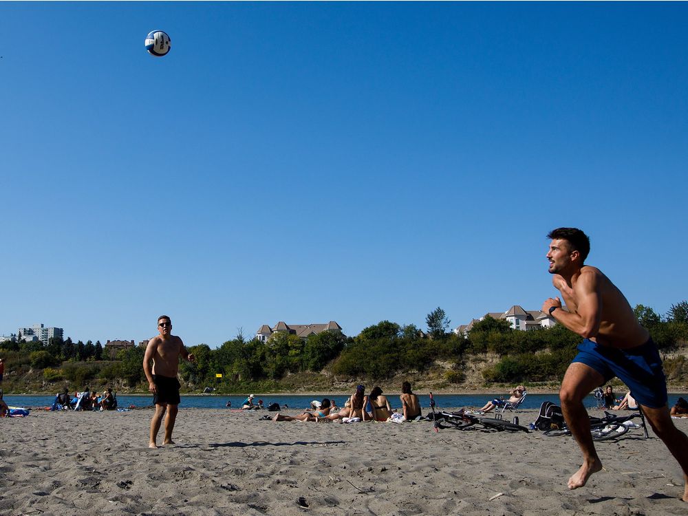edmontonjournal's tweet photo. Paula Simons: Accidental Beach steals Edmonton's hearts https://t.co/FeZWkYKz34 https://t.co/r8wB5rGHb7