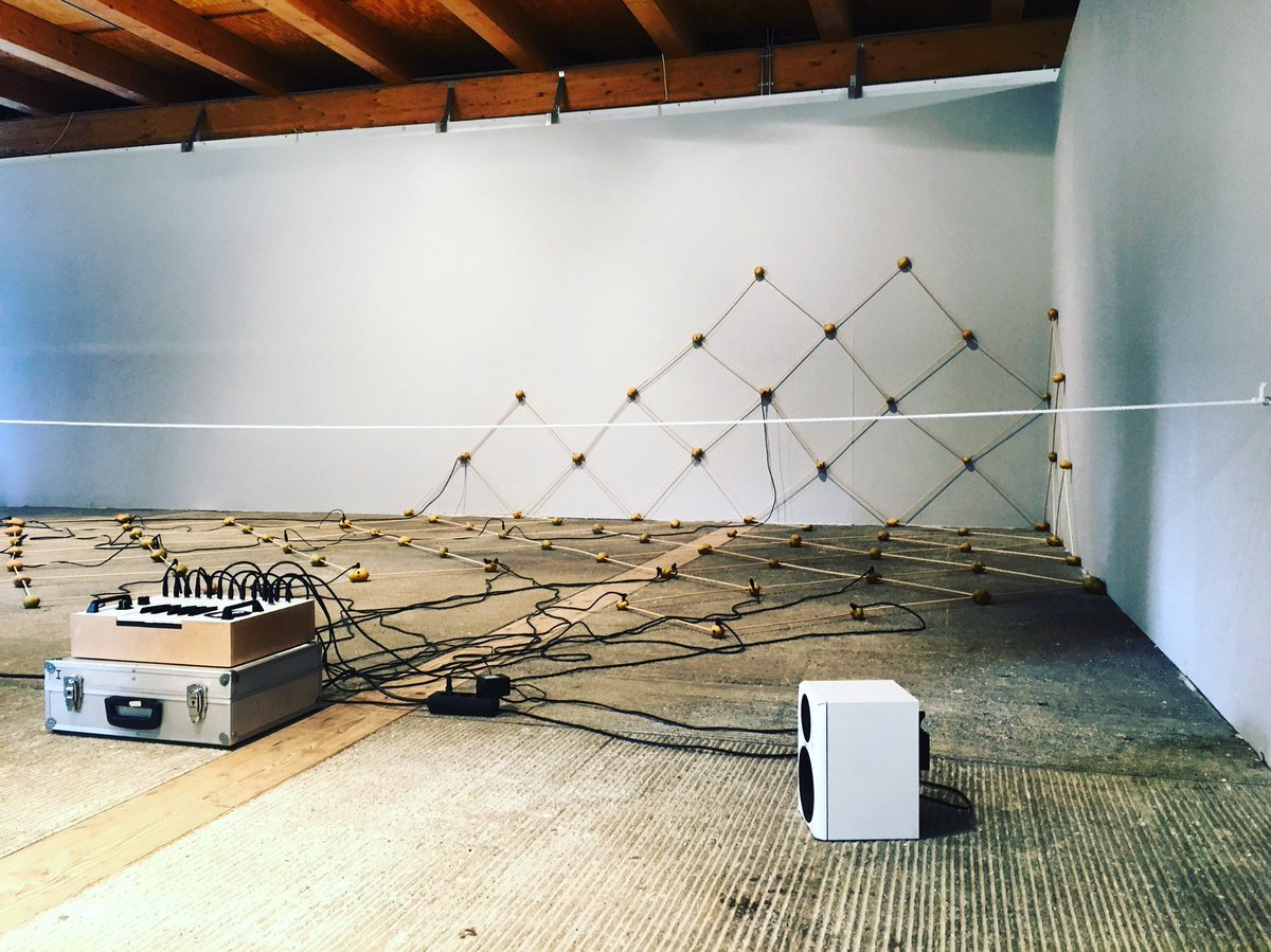 42punktcc's tweet photo. #steven #tevels #solanumtuberosum #sound2017 #art #contemporaryart #momodays #lebenamlimit https://t.co/xCQtigWImC