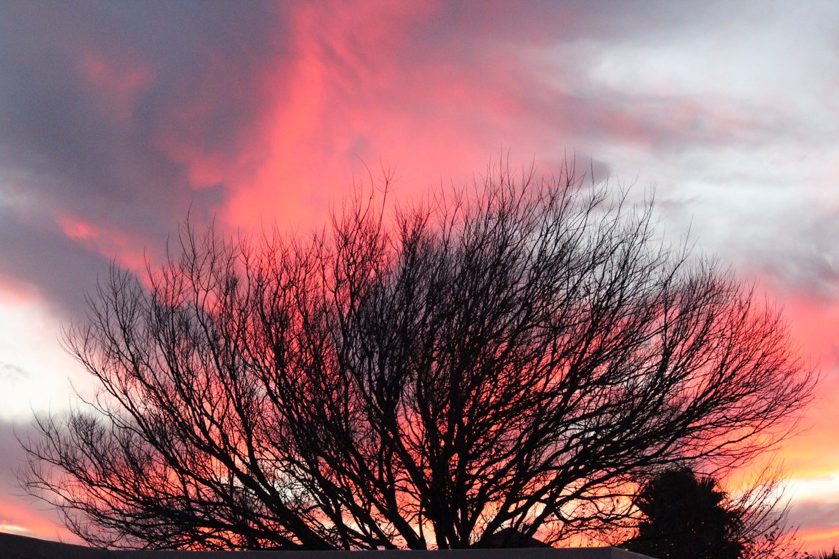 ClaytonZelie's tweet photo. Pink in the morning shepherds warning #O2SPhoto https://t.co/YQZbtanQPs