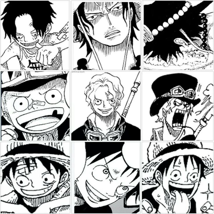 FireFistTweets's tweet photo. One Piece 🔥 Brothers! https://t.co/wosllkV9M1