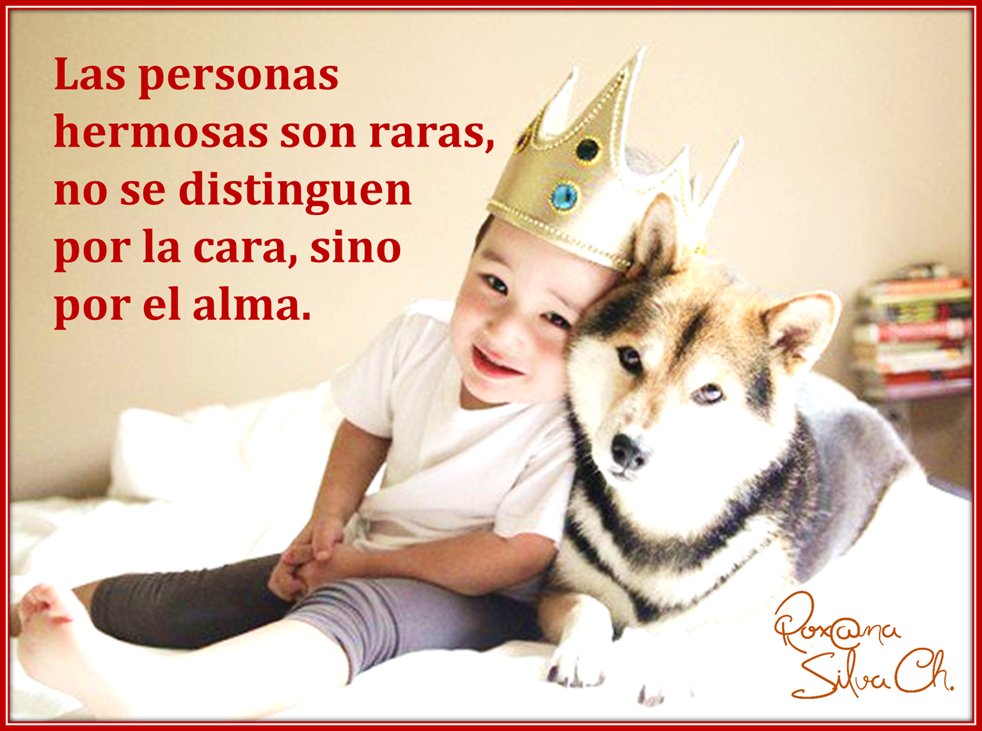 Roxana Silva on Twitter: "Para tomar en cuenta: "Las personas ...