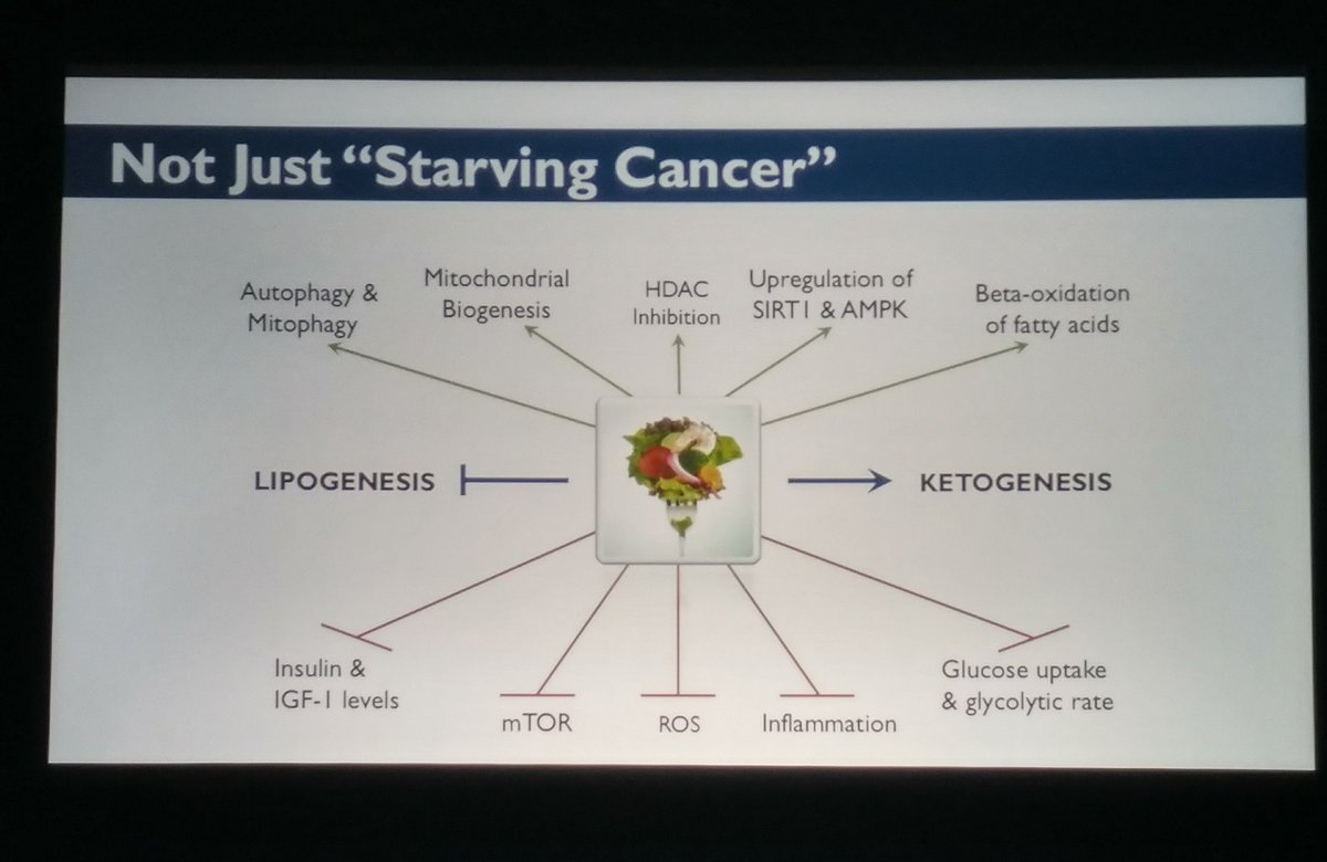 The oversimplified idea that the ketogenic approach only tries to "starve cancer of glucose" is a straw man. #KetoCon17  <a href="/DietaryTherapy/">Miriam Kalamian</a>