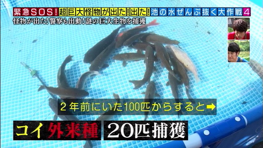池の水ぜんぶ抜く カルガモや鯉を食らう危険生物 水を抜いてその正体を突き止める そしたらもっとヤバい投棄物も見つけてしまった 3ページ目 Togetter 池の水ぜんぶ抜く カルガモや鯉を食らう危険生物 水を抜いてその正体を突き止める そしたらもっとヤバい投棄物も見つけてしまった 3ページ目 Togetter