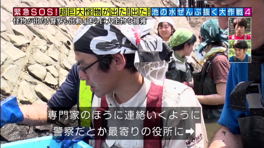池の水ぜんぶ抜く カルガモや鯉を食らう危険生物 水を抜いてその正体を突き止める そしたらもっとヤバい投棄物も見つけてしまった 3ページ目 Togetter 池の水ぜんぶ抜く カルガモや鯉を食らう危険生物 水を抜いてその正体を突き止める そしたらもっとヤバい投棄物も見つけてしまった 3ページ目 Togetter