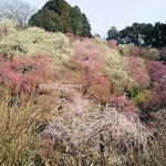 おんな城主直虎 感想と補足まとめ 第三十五回 蘇りし者たち モノマネで悼まれる政次 視聴者を救う公式優しい がまもなくサンバ Togetter おんな城主直虎 感想と補足まとめ 第三十五回 蘇りし者たち モノマネで悼まれる政次 視聴者を救う公式優しい がまもなくサンバ Togetter