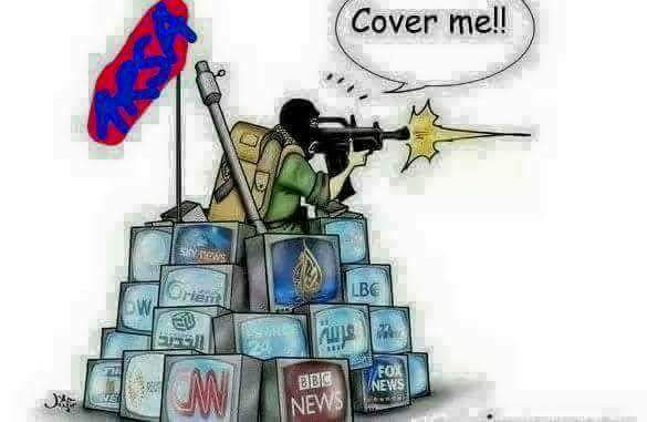 ZawZts's tweet photo. @YangheeLeeSKKU  https://t.co/gyPynt1vdM
