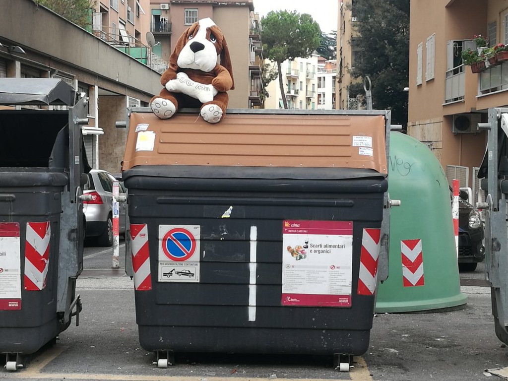 Rifiuti speciali etuttacolpadellaraggi.wordpress.com/2017/09/03/rif…