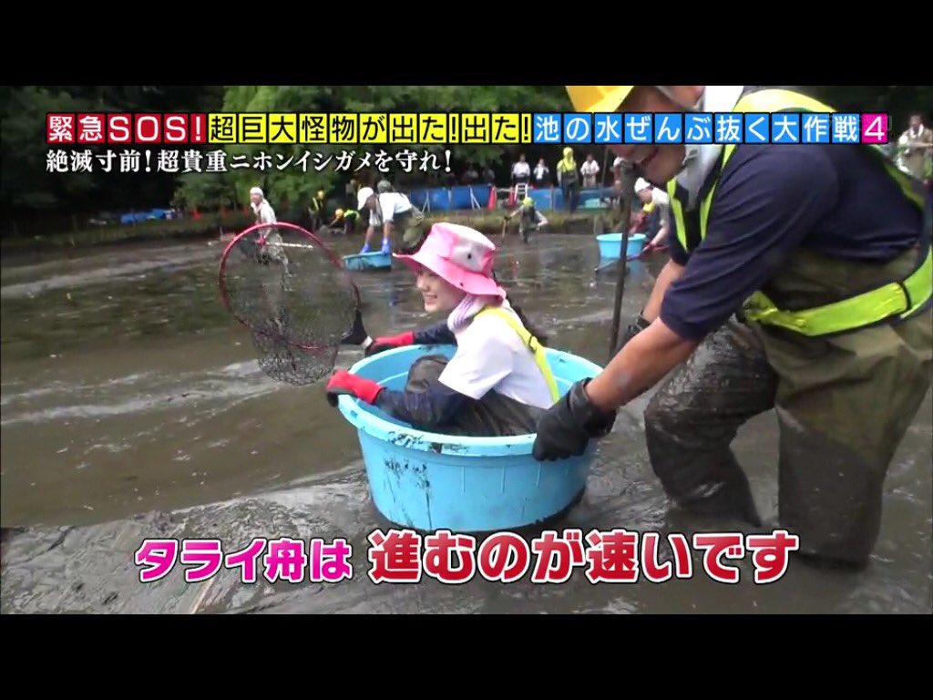 池の水ぜんぶ抜く カルガモや鯉を食らう危険生物 水を抜いてその正体を突き止める そしたらもっとヤバい投棄物も見つけてしまった 4ページ目 Togetter 池の水ぜんぶ抜く カルガモや鯉を食らう危険生物 水を抜いてその正体を突き止める そしたらもっとヤバい投棄物も見つけてしまった 4ページ目 Togetter