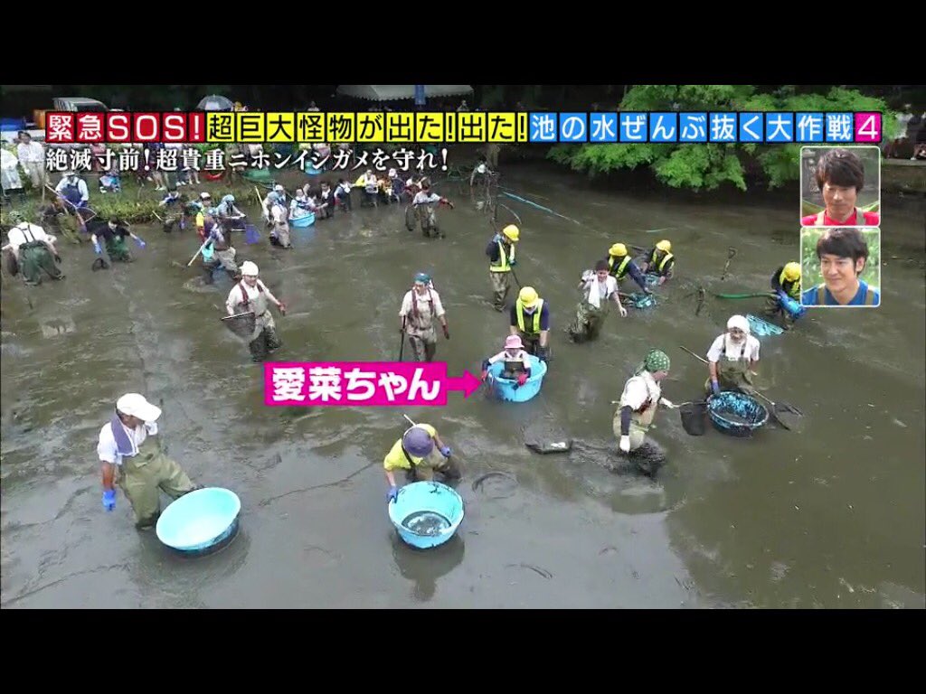 池の水ぜんぶ抜く カルガモや鯉を食らう危険生物 水を抜いてその正体を突き止める そしたらもっとヤバい投棄物も見つけてしまった 4ページ目 Togetter 池の水ぜんぶ抜く カルガモや鯉を食らう危険生物 水を抜いてその正体を突き止める そしたらもっとヤバい投棄物も見つけてしまった 4ページ目 Togetter