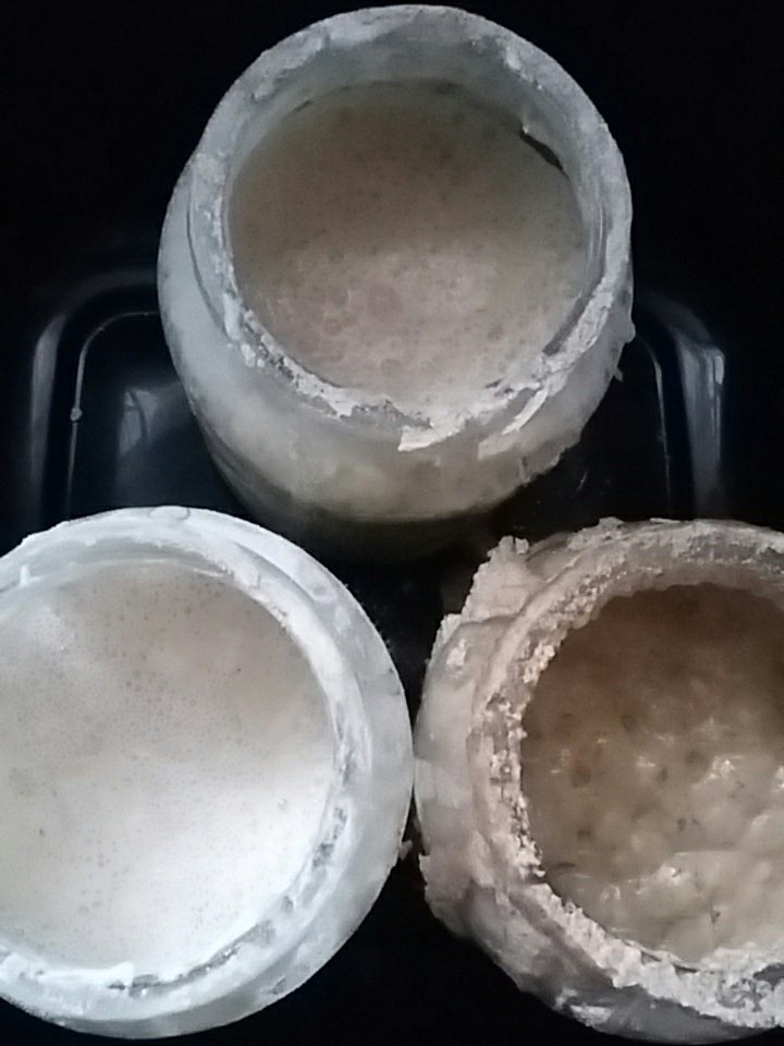 leonbenjaminhal's tweet photo. Back from hols. Girls back at school Tues. Back in bakery for #SourdoughSeptember #StartersOrders #FeedMe #FerMental #HandToMouthAxmouth👐🍞💚😊 https://t.co/MqCBylyIW2
