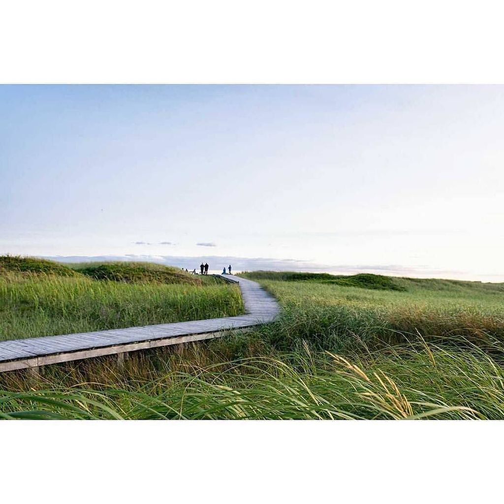 halifaxnoise's tweet photo. From @pipermuse โ Boardwalk to heaven or the beach....same thing...
.
.
#lawrencetownbeach #canadiancreative #eastโฆ https://t.co/kSZJMXp8Hl https://t.co/5nzE3zar3t