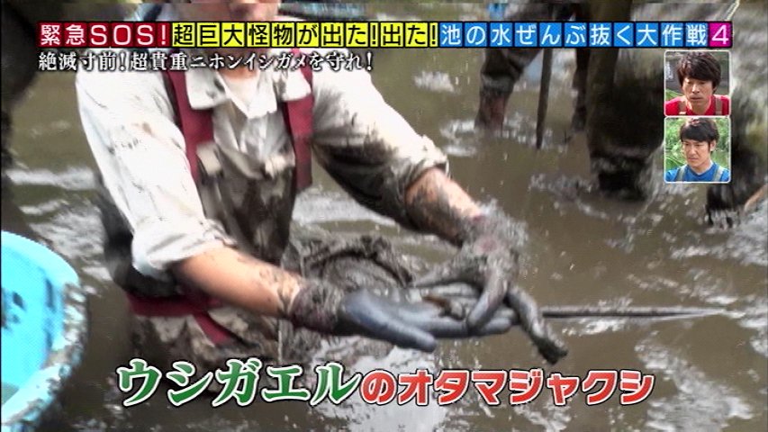 池の水ぜんぶ抜く カルガモや鯉を食らう危険生物 水を抜いてその正体を突き止める そしたらもっとヤバい投棄物も見つけてしまった 5ページ目 Togetter 池の水ぜんぶ抜く カルガモや鯉を食らう危険生物 水を抜いてその正体を突き止める そしたらもっとヤバい投棄物も見つけてしまった 5ページ目 Togetter