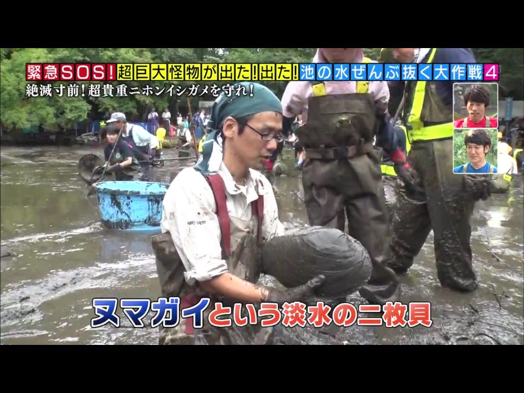 池の水ぜんぶ抜く カルガモや鯉を食らう危険生物 水を抜いてその正体を突き止める そしたらもっとヤバい投棄物も見つけてしまった 5ページ目 Togetter 池の水ぜんぶ抜く カルガモや鯉を食らう危険生物 水を抜いてその正体を突き止める そしたらもっとヤバい投棄物も見つけてしまった 5ページ目 Togetter