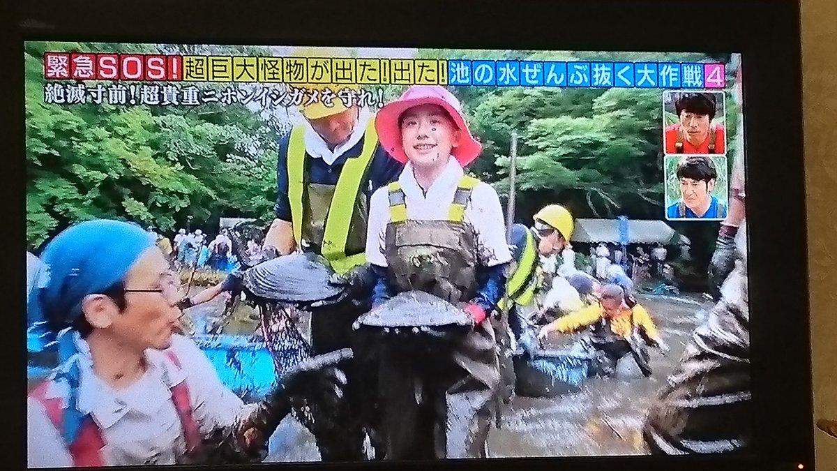 池の水ぜんぶ抜く カルガモや鯉を食らう危険生物 水を抜いてその正体を突き止める そしたらもっとヤバい投棄物も見つけてしまった 5ページ目 Togetter 池の水ぜんぶ抜く カルガモや鯉を食らう危険生物 水を抜いてその正体を突き止める そしたらもっとヤバい投棄物も見つけてしまった 5ページ目 Togetter