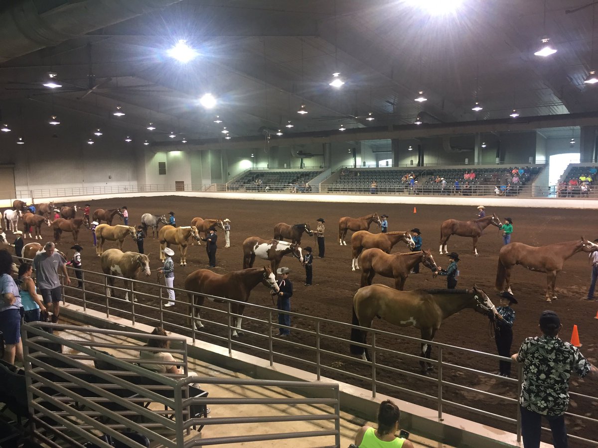 A great start to a great day at GA Fed. of Saddle Clubs State show - 3rd of 31 Youth Gelding Halter <a href="/UGAEquestrian/">Georgia Equestrian</a> <a href="/GamecockEQ/">South Carolina Equestrian</a> #KTRFarms