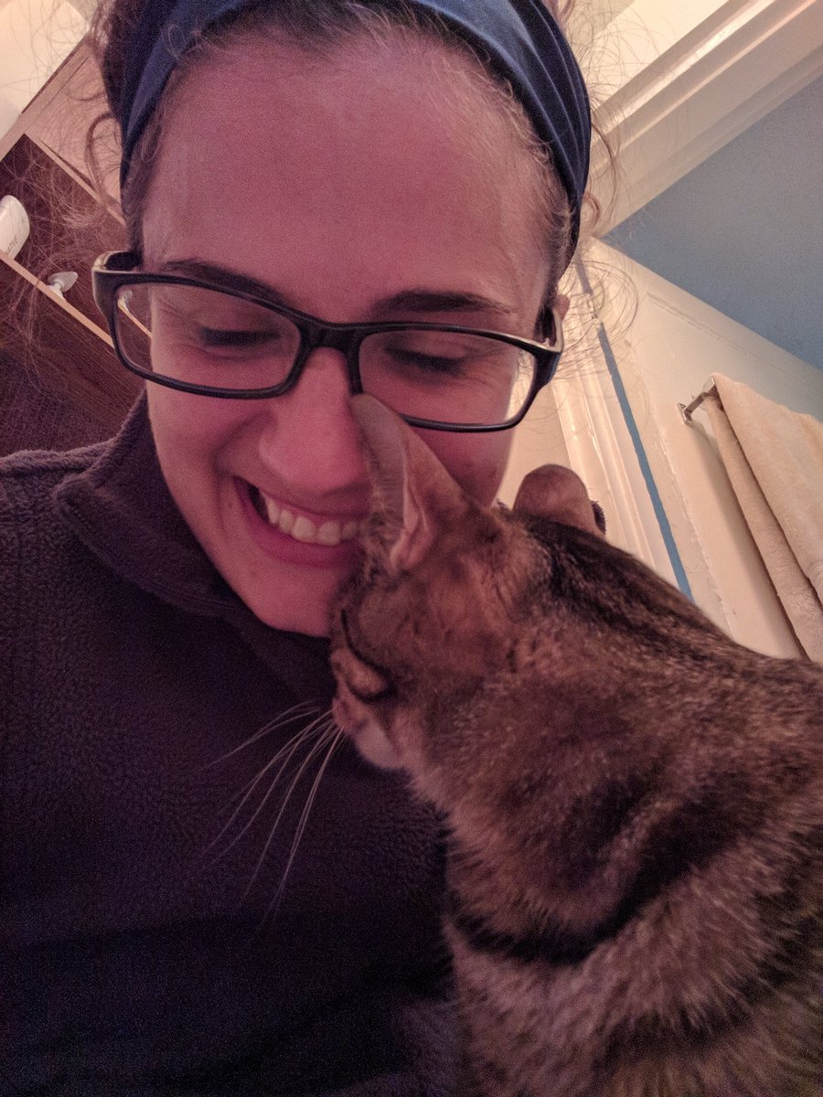 GlenSplinter's tweet photo. While dad's away... https://t.co/Nb5SZgij7x