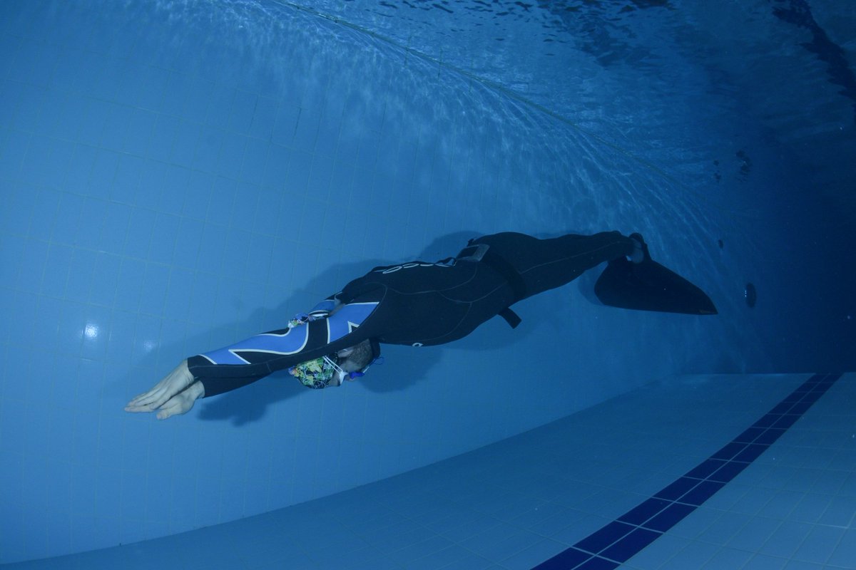 Martedì 5 settembre alle 20 inizia il corso di #APNEA 
goo.gl/RB9XJK
#freediving