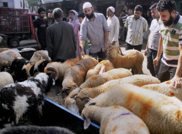 thewire_in's tweet photo. On Bakrid, Muslims in Ayodhya perform ‘Qurbani’ without fear https://t.co/ZLdk5LIwzg https://t.co/senXi3oIKf